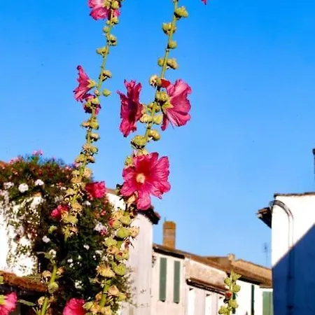 Joli T2 En Centre-ville De