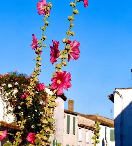 Joli T2 En Centre-ville De