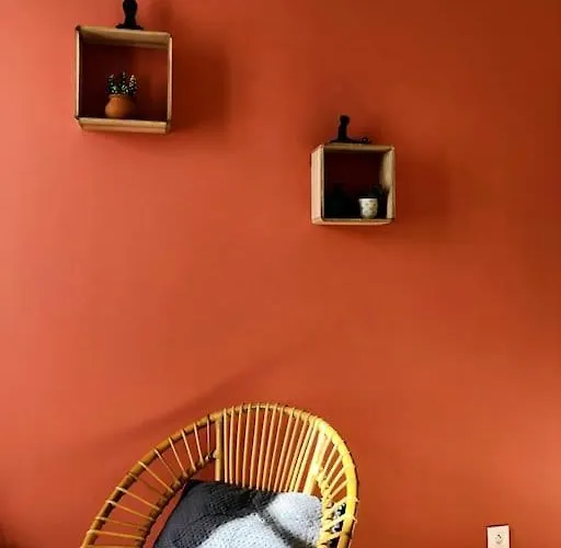 Joli T2 En Centre-ville De Rochefort (Charente-Maritime)