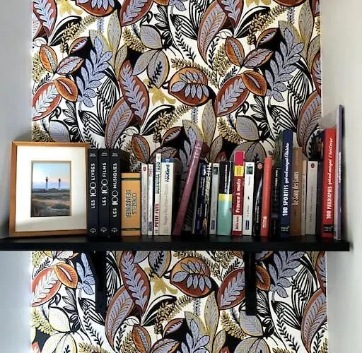 Joli T2 En Centre-ville De Apartamento